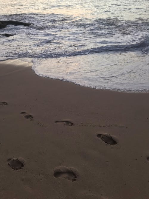 有关海浪, 海滩, 砂的免费素材图片