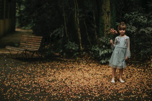 有关一串, 下落, 优雅的免费素材图片