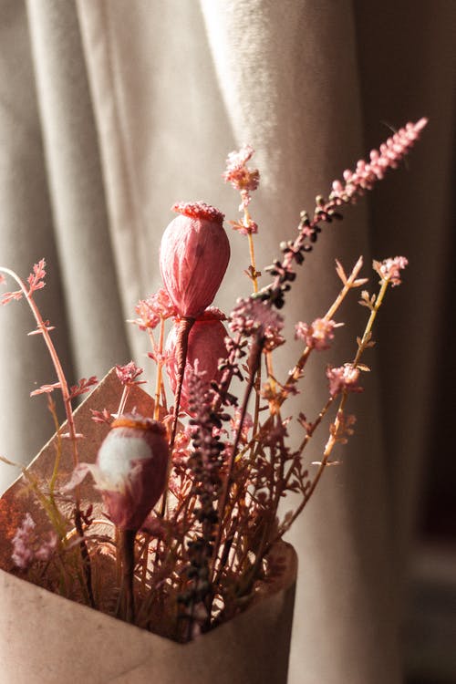 有关一串, 乾燥, 作文的免费素材图片