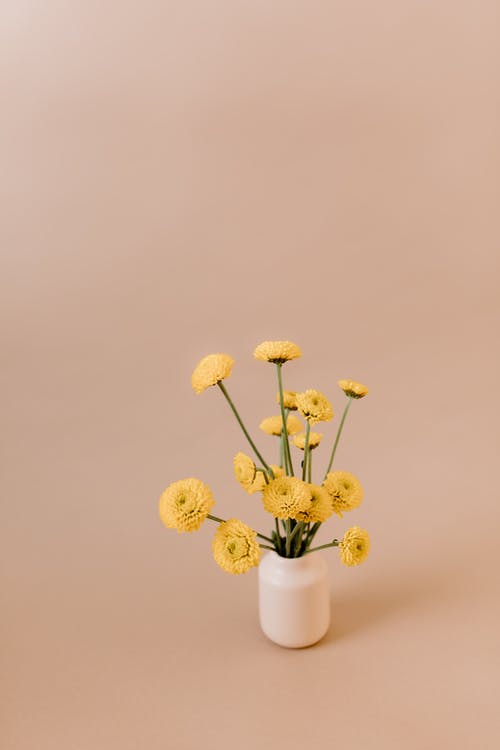 黄色的花朵，在白色的陶瓷花瓶 · 免费素材图片