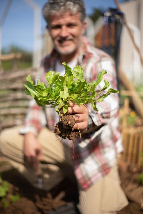 有关人, 垂直拍摄, 工厂的免费素材图片