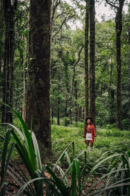 有关人, 冒险, 垂直拍摄的免费素材图片