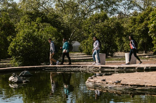 有关同学, 图书, 多样化的免费素材图片