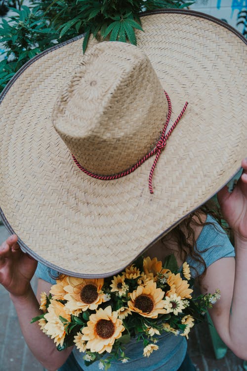 有关人造花, 垂直拍摄, 太阳帽的免费素材图片