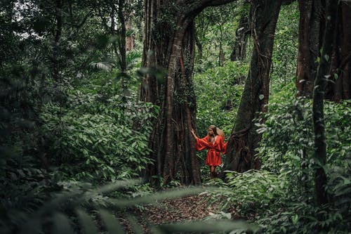 在绿色的植物之间的途径上行走的红裙子的女人 · 免费素材图片