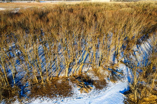 有关冬季, 冷, 冷冻的免费素材图片