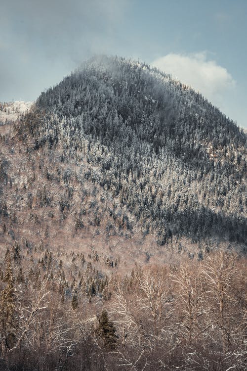 有关下雪的, 冬季, 冷的免费素材图片