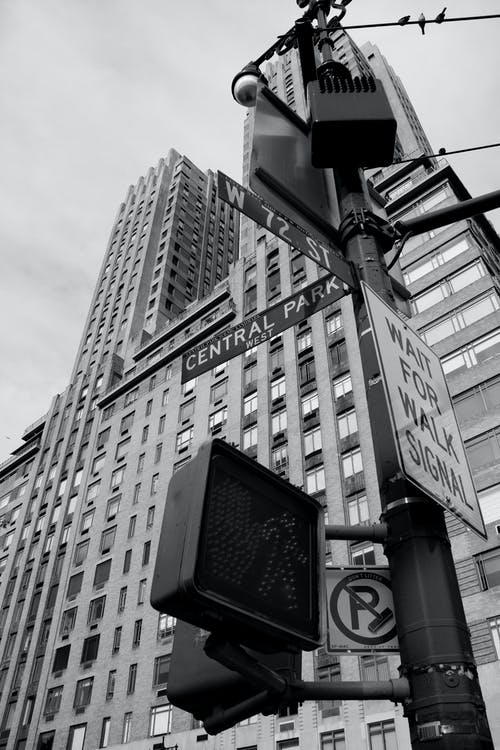 有关中央公园, 低角度拍摄, 单色的免费素材图片