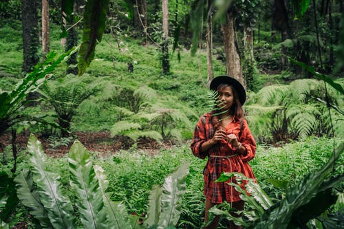 有关冒险, 丛林, 天性的免费素材图片