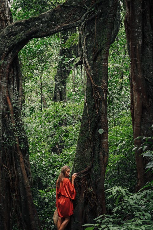 有关倚, 丛林, 垂直拍摄的免费素材图片