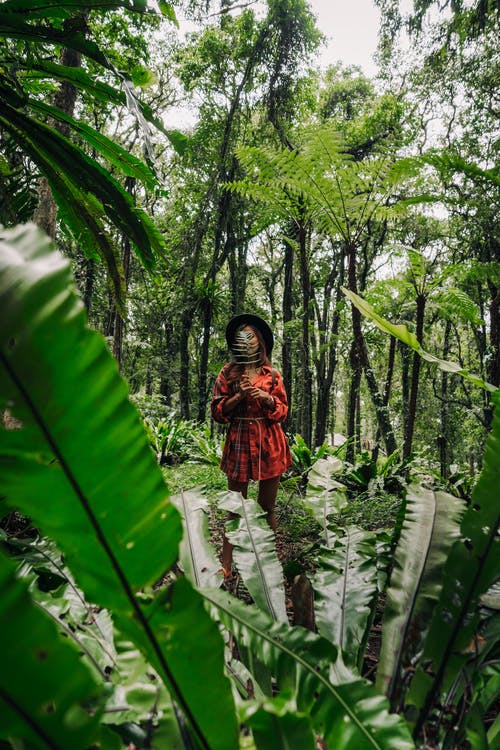 站在森林中间的棕色外套的女人 · 免费素材图片