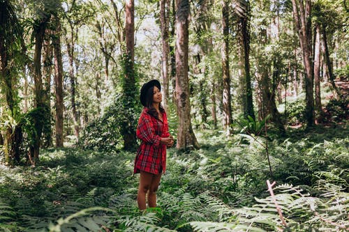站在森林中间的红色和黑色格子连衣裙的女人 · 免费素材图片