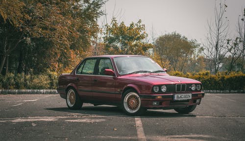 有关停, 摩托车, 树木的免费素材图片