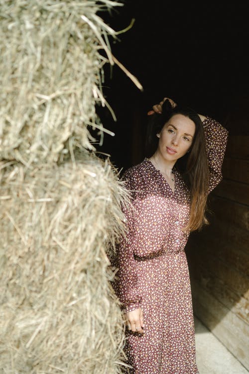 有关乾草, 修理头发, 垂直拍摄的免费素材图片