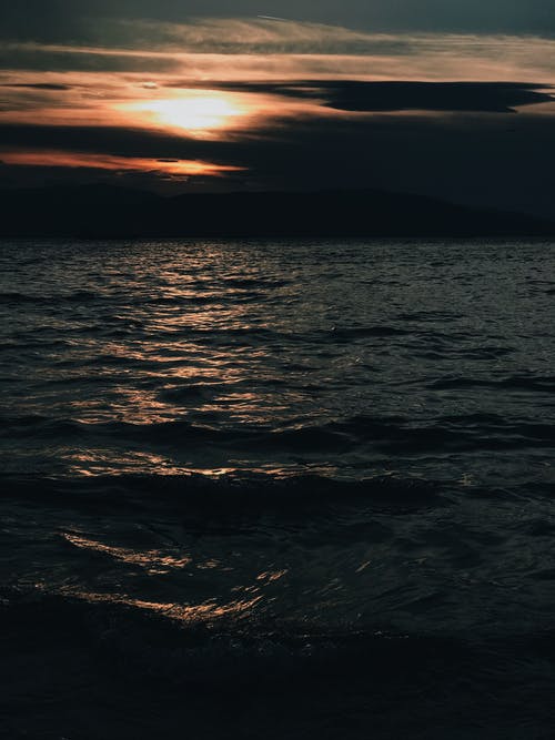 有关垂直拍摄, 天性, 天空的免费素材图片