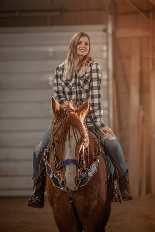 有关人, 动物, 哺乳动物的免费素材图片