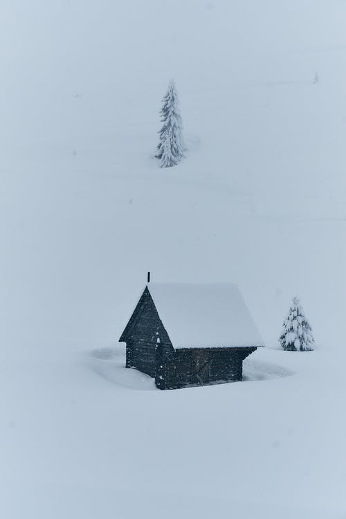 有关下雪的, 冬季, 冷冰的的免费素材图片