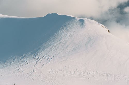 有关低角度拍摄, 冬季, 冷的免费素材图片