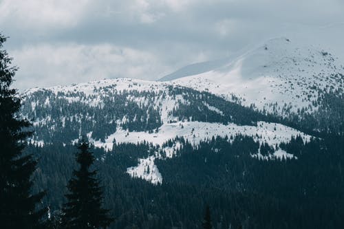 有关下雪的天气, 冬季, 冷的免费素材图片