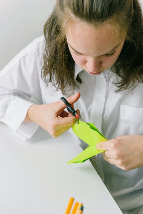 有关papercraft, 切割, 剪刀的免费素材图片