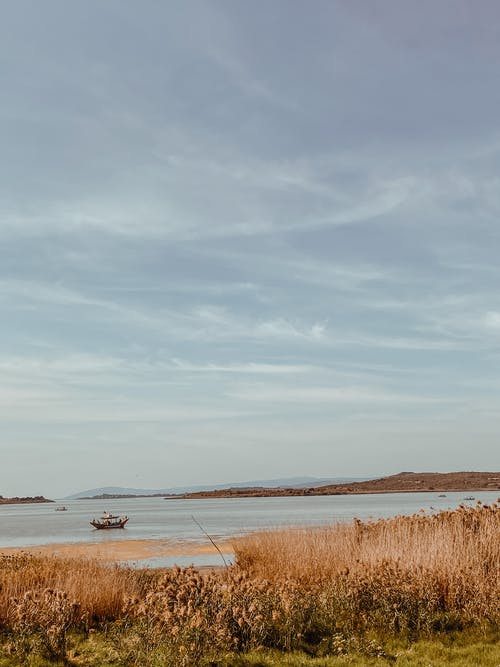 有关下落, 乾枯, 天空的免费素材图片