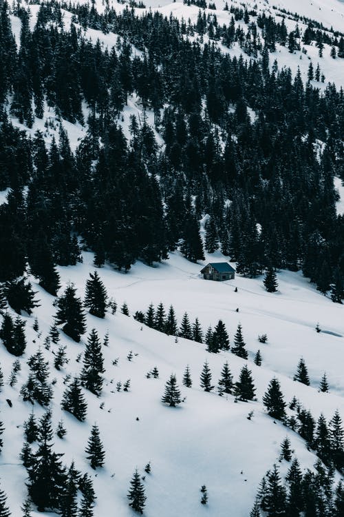 有关冬季, 冷, 大雪覆盖的免费素材图片