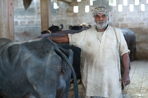 有关人, 动物, 哺乳动物的免费素材图片