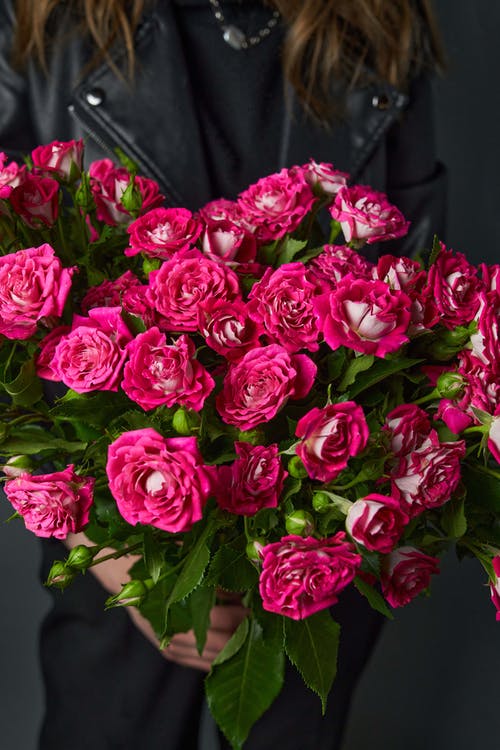 有关垂直拍摄, 女人, 握住的免费素材图片