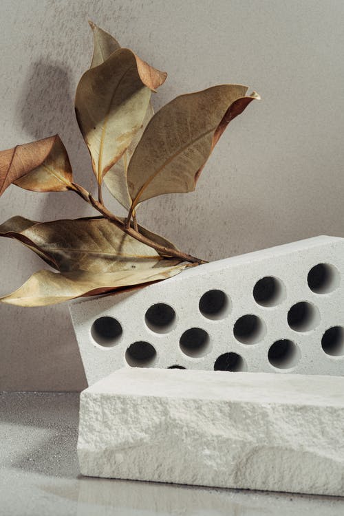 有关块, 枯叶, 特写的免费素材图片