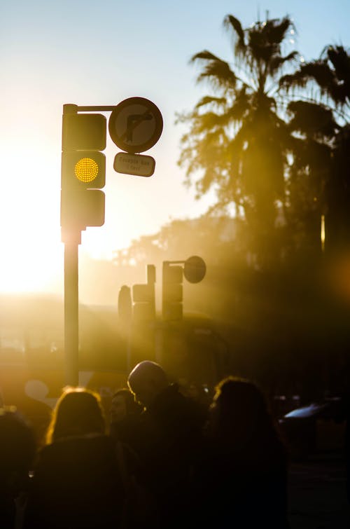 有关剪影, 反对光明, 垂直拍摄的免费素材图片