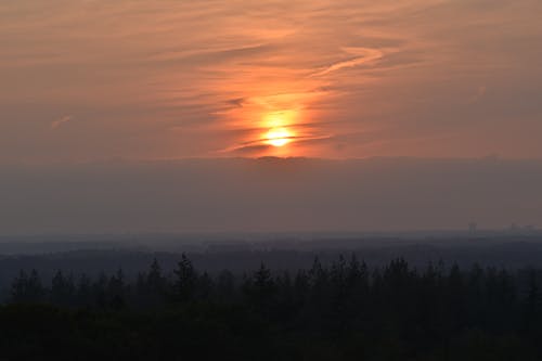 有关光, 剪影, 太阳的免费素材图片