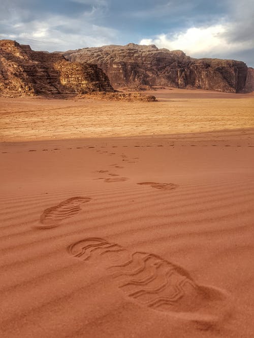 有关乾旱, 乾的, 垂直拍摄的免费素材图片