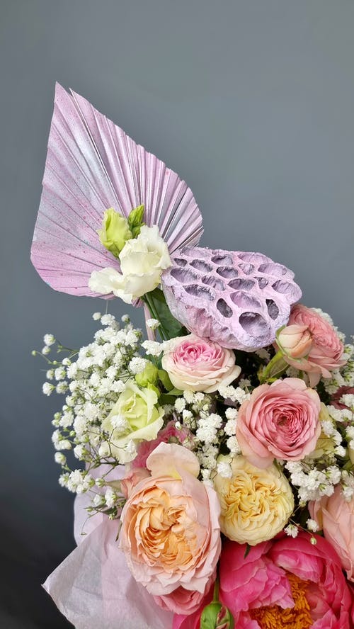 有关一串, 不一样, 什锦的的免费素材图片