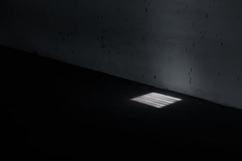 有关光, 地板, 室内的免费素材图片