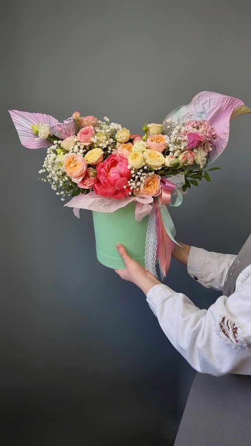 有关一串, 不露面, 什锦的的免费素材图片