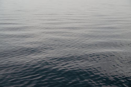 有关H2O, 平静的水面, 水波的免费素材图片