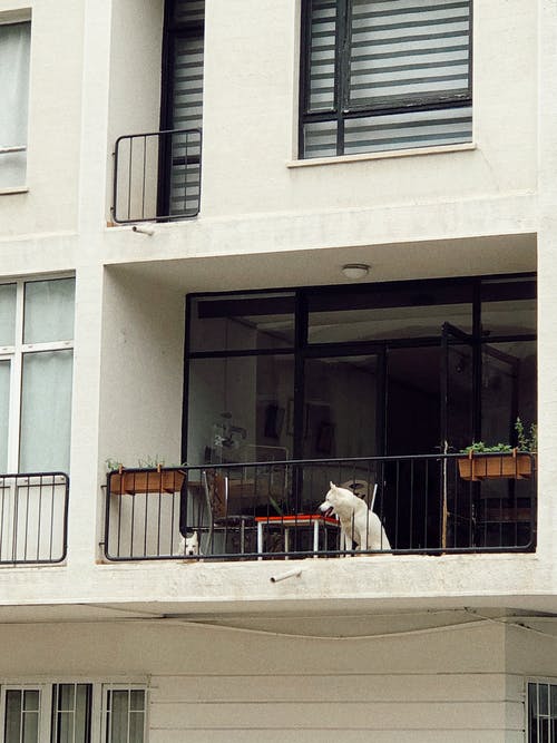 有关住宅, 住宅楼, 公寓楼的免费素材图片