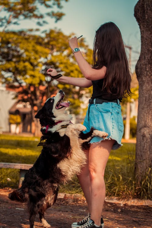 有关人, 人类最好的朋友, 伴侣的免费素材图片