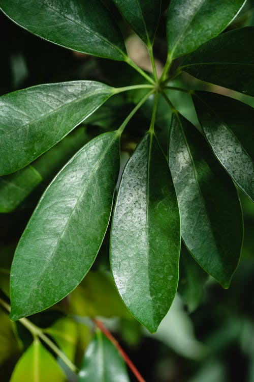 有关垂直拍摄, 工厂, 新鲜的免费素材图片