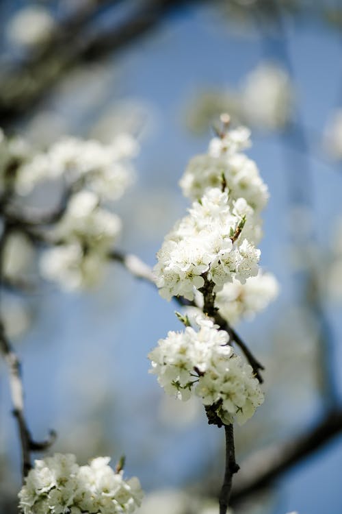 有关分公司, 垂直拍摄, 户外的免费素材图片