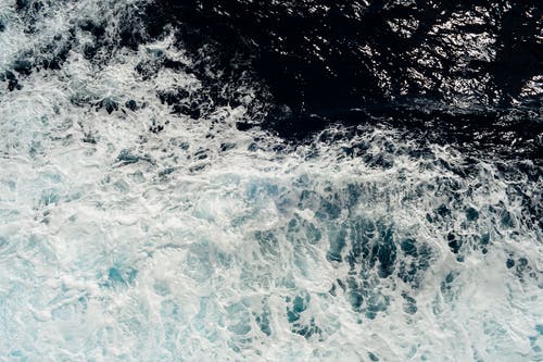 有关天性, 招手, 海的免费素材图片