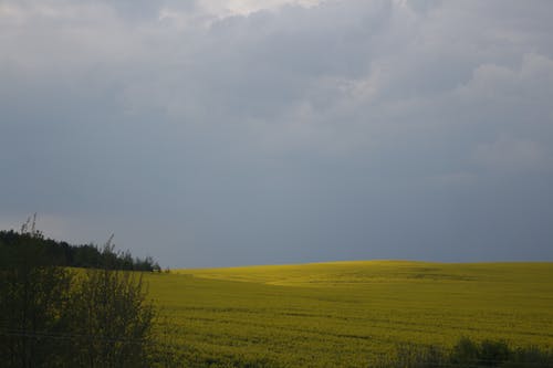 有关坏心情, 多云的, 天性的免费素材图片