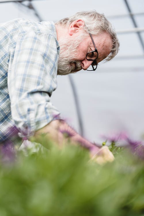有关垂直拍摄, 格子衬衫, 白色的头发的免费素材图片
