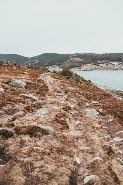 有关乾燥, 乾的, 冷靜的免费素材图片