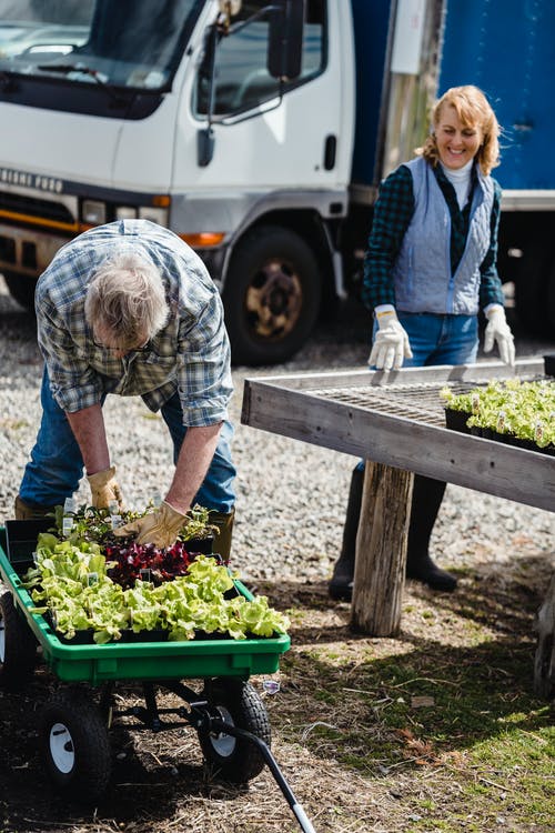 有关垂直拍摄, 握住, 植物的免费素材图片