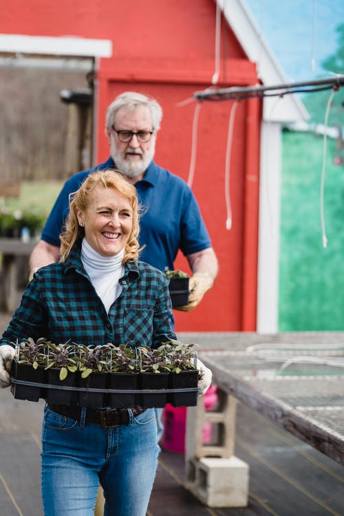 有关一起, 垂直拍摄, 工厂的免费素材图片