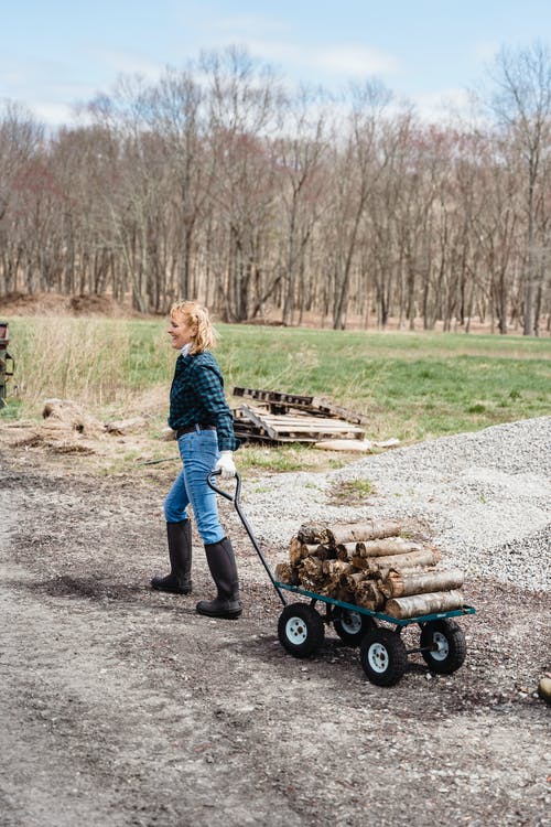有关切碎的树林, 垂直拍摄, 手推车的免费素材图片