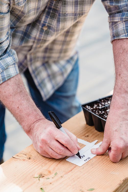 有关T恤, 人, 做记录的免费素材图片