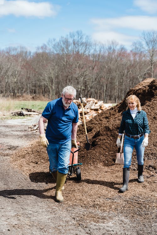 有关一起, 全景, 土的免费素材图片