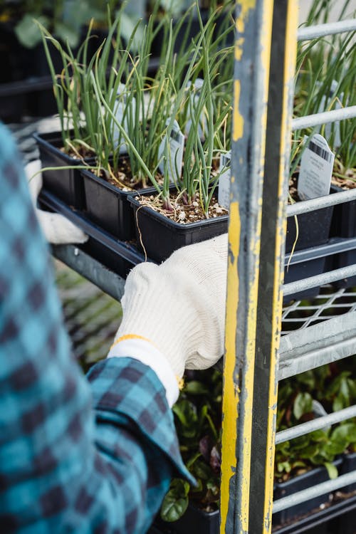 照顾植物的人 · 免费素材图片